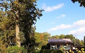 Bungalow Idylle Am See